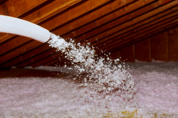 Best Attic Insulation Installation  in Homewood, SC
