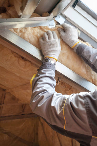 Best Wall Insulation Contractor  in Homewood, SC