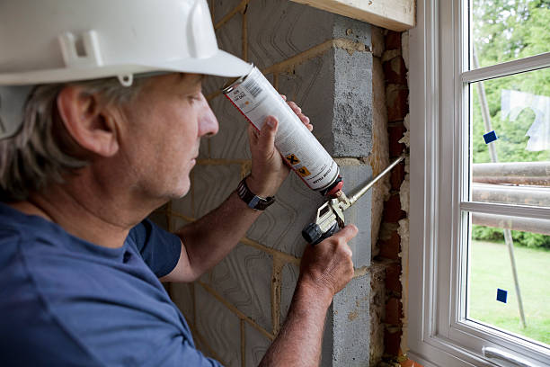 Best Energy-efficient Insulation  in Homewood, SC