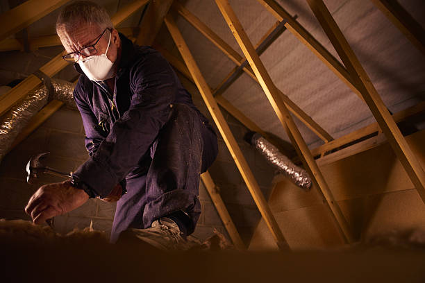 Best Affordable Insulation Services  in Homewood, SC