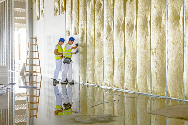 Best Crawl Space Insulation  in Homewood, SC